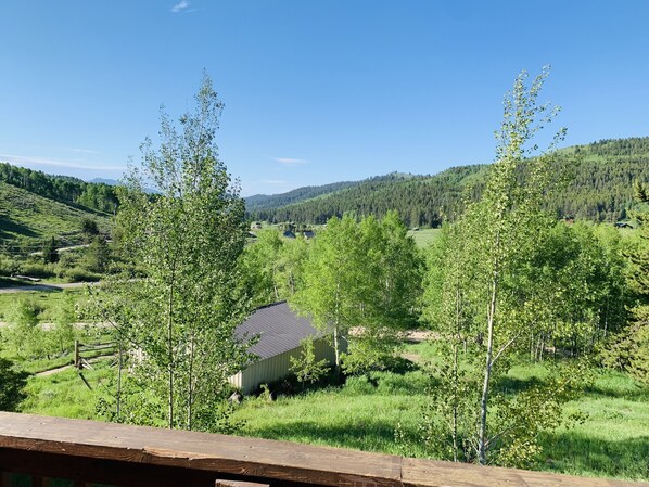 Área da propriedade