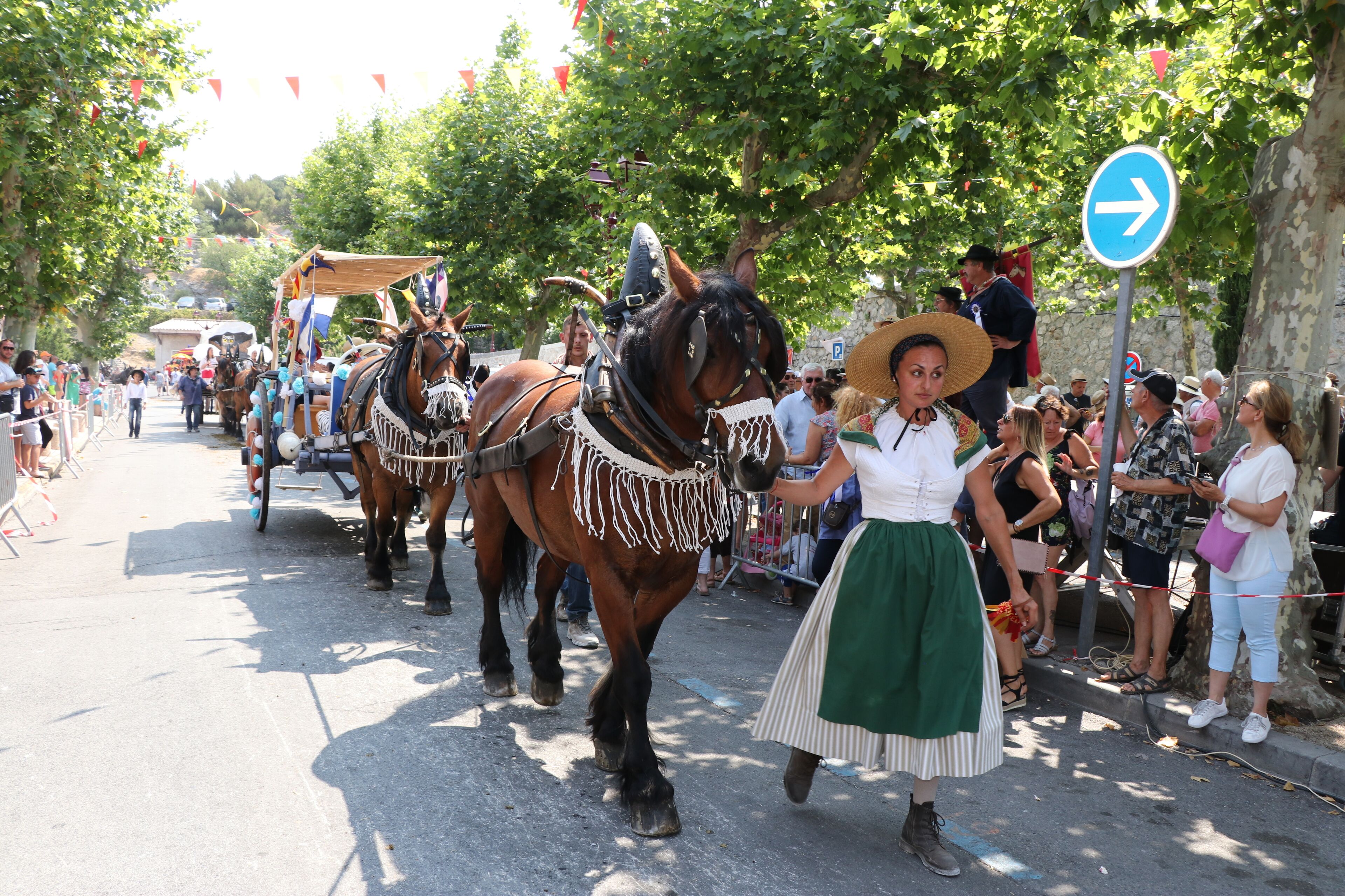 Um desfile de rua com cavalos e uma pessoa vestida com traje tradicional.