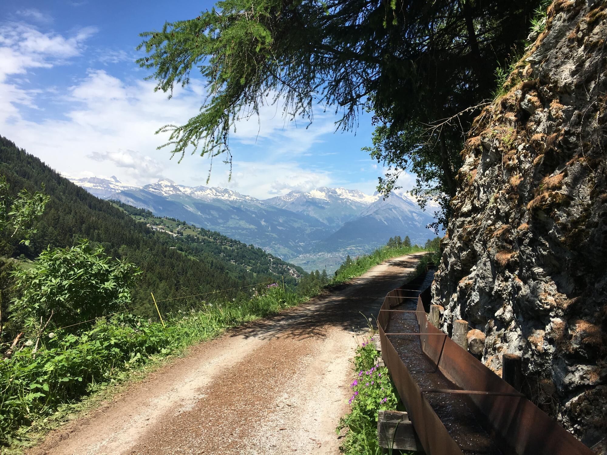 Un camí de muntanya amb un tram de terra, envoltat de vegetació i terreny rocos.