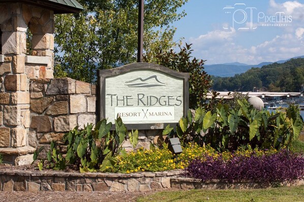 Escape to The Ridges Resort & Marina, surrounded by lush greenery and a serene marina.