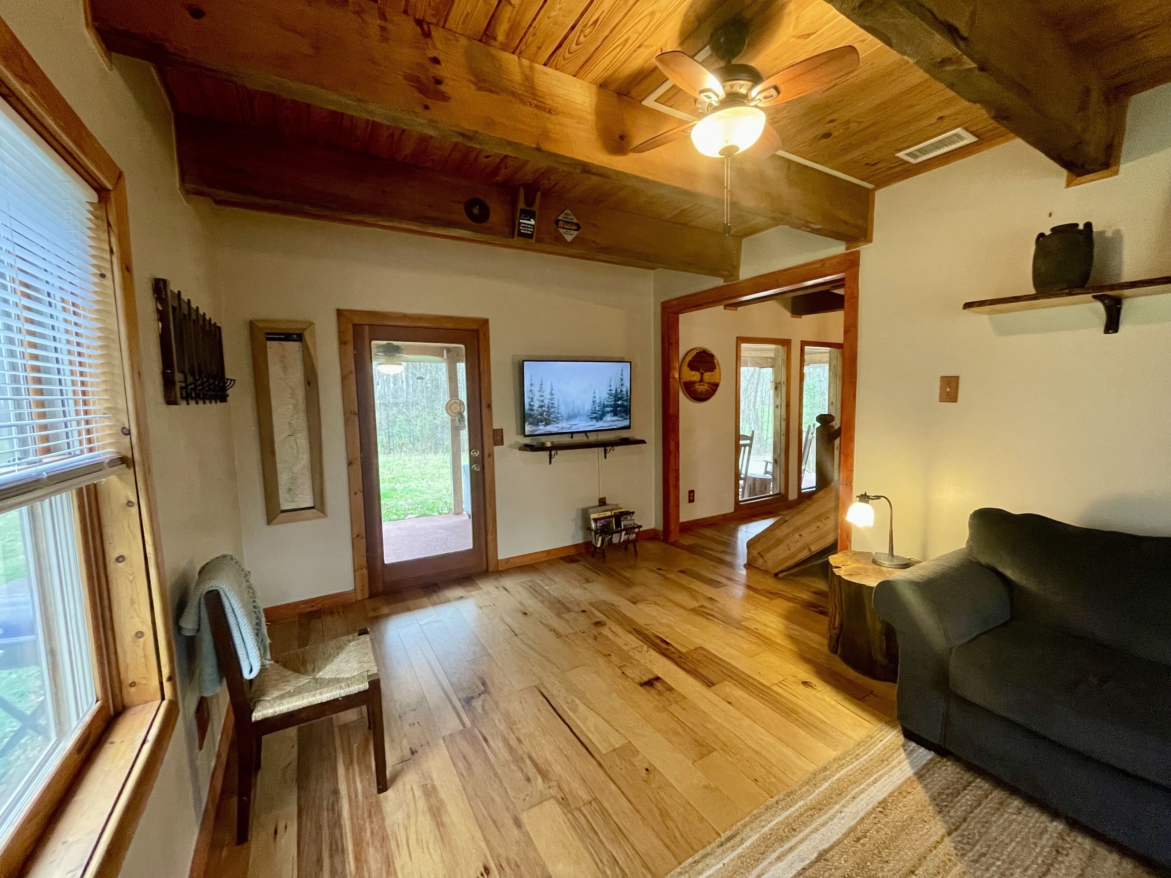 Smart TV, fireplace, books, video library