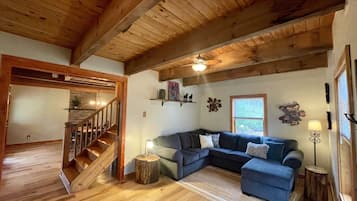 Smart TV, fireplace, books, video library