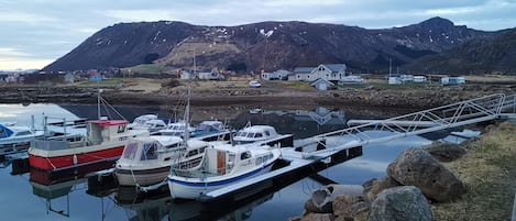 Dock