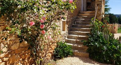 Beautiful century-old farmhouse, large converted vaulted room, land & swimming pool