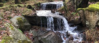 Creekside Beech House