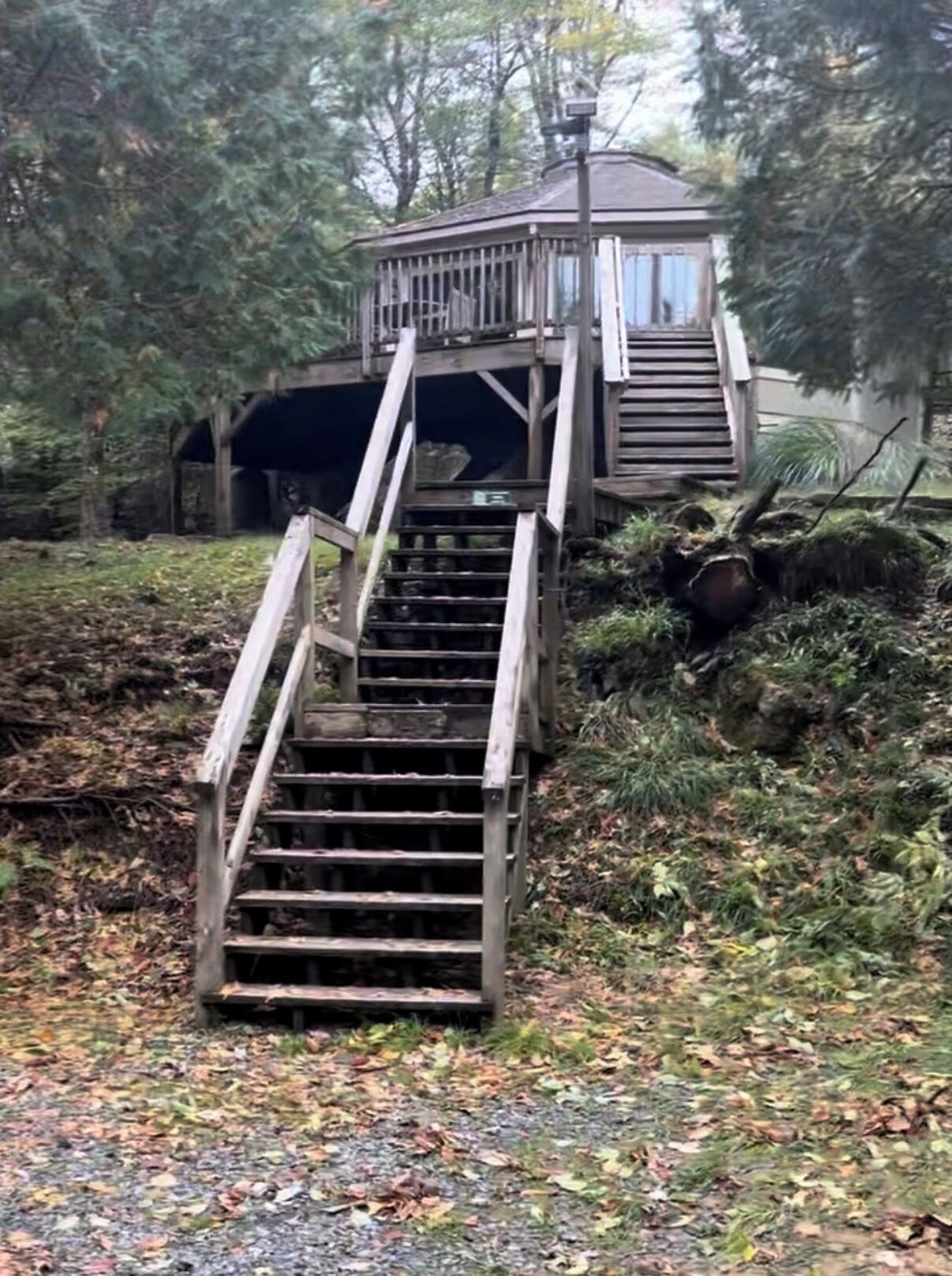 En trätrappa som leder upp till en lusthusliknande byggnad i ett skogsområde.