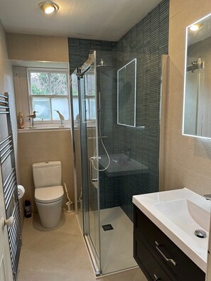 Hair dryer, towels