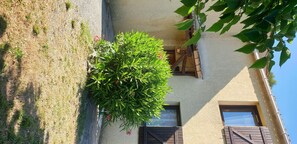 Property grounds - Villa with swimming pool sleeps 8 in provence (Vedène)