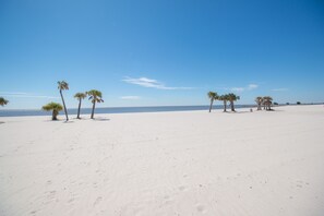 Playa en los alrededores 