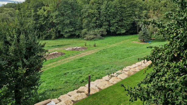 Üppige grüne Landschaft mit einem Steinweg, der durch eine Wiese führt, umgeben von dichtem Baumbestand.