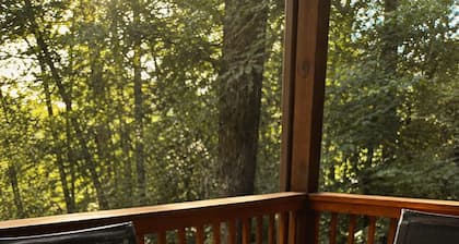 Welcome to Bearadise! Charming cabin 10 minutes to downtown Blue Ridge!