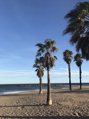 A beach with palm trees and a rocky breakwater in the distance.