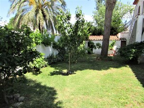 Surrounded by lush greenery, this outdoor space features a palm tree and shrubs, a small structure with a tiled roof, and a tree trunk.