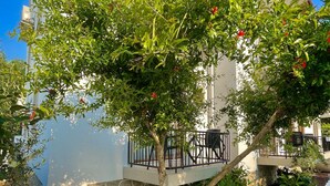 A tree-lined courtyard with a stone wall and a tiled walkway. - Cennet Hotel (Fethiye)