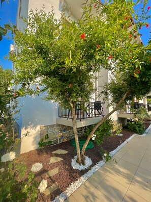 Garden - Cennet Hotel (Fethiye)