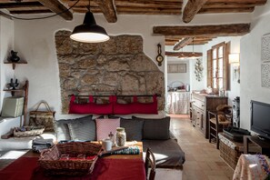 Télévision, cheminée, lecteur de DVD, livres