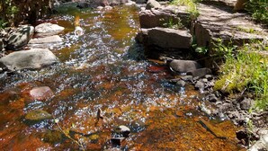A natural setting with a stream, rocks, and a wooden bench. - River Run: Secluded Riverside A-Frame & Sauna Two Miles West Of Grand Marais (Grand Marais)