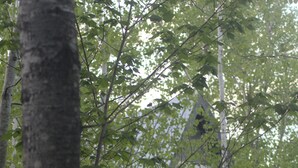 A cabin with a deck and outdoor seating area, surrounded by trees. - River Run: Secluded Riverside A-Frame & Sauna Two Miles West Of Grand Marais (Grand Marais)
