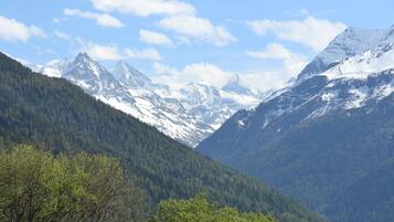 Un paysage montagneux caractérisé par des sommets enneigés et des vallées densément boisées.