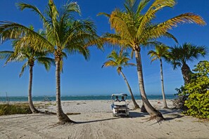 Beach nearby, sun-loungers, beach towels