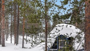 A snow-covered cabin surrounded by tall pine trees.