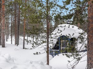 En snedækket hytte omgivet af høje fyrretræer i en skov.