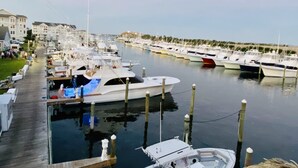 A marina with multiple boats docked, a wooden walkway, and buildings in the background.