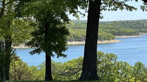 Une zone herbeuse avec des arbres et une vue sur un lac.