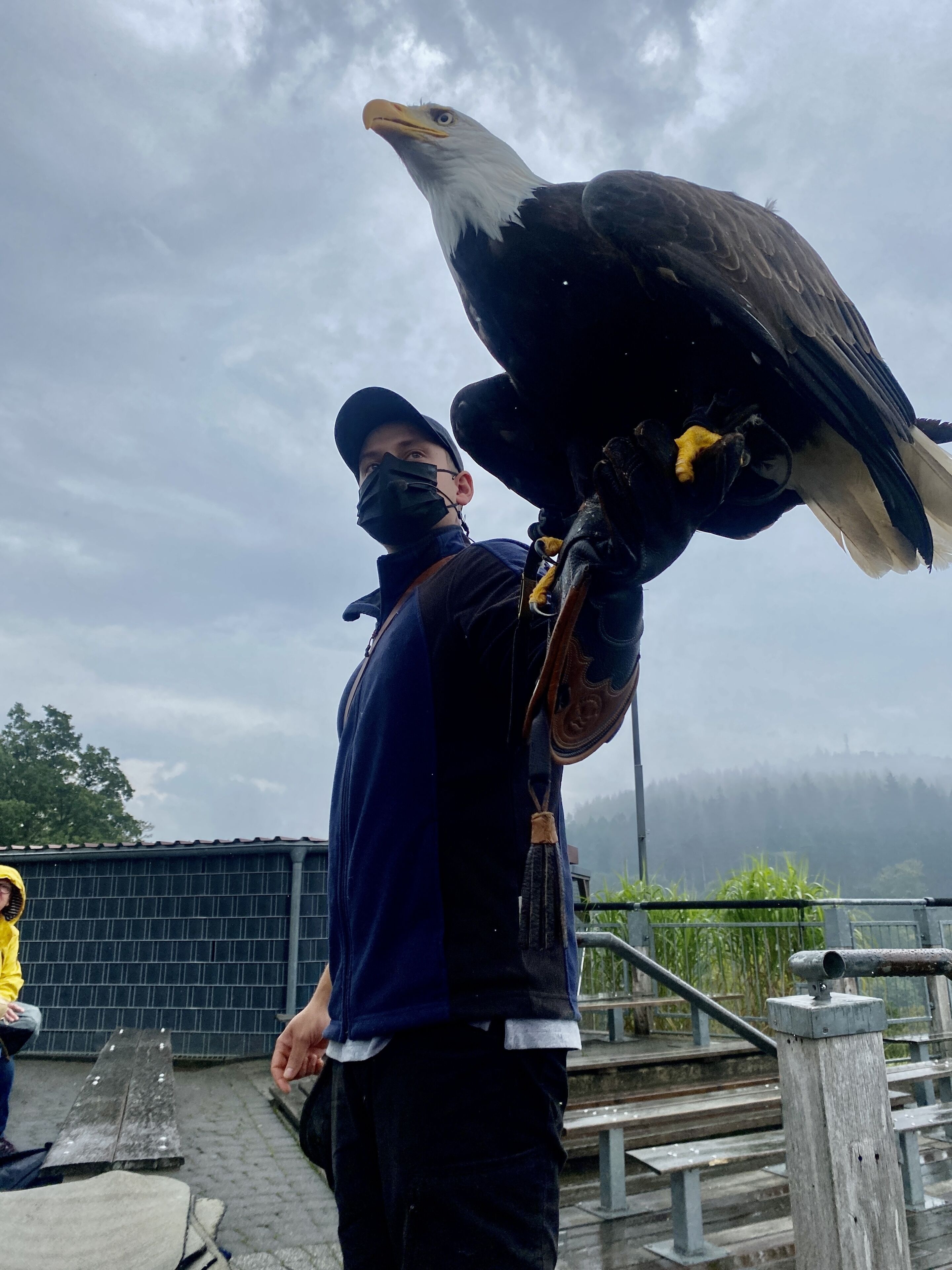 A person holding a bald eagle.