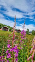 A rural landscape with two red wooden houses, a field of purple flowers, and a clear blue sky.