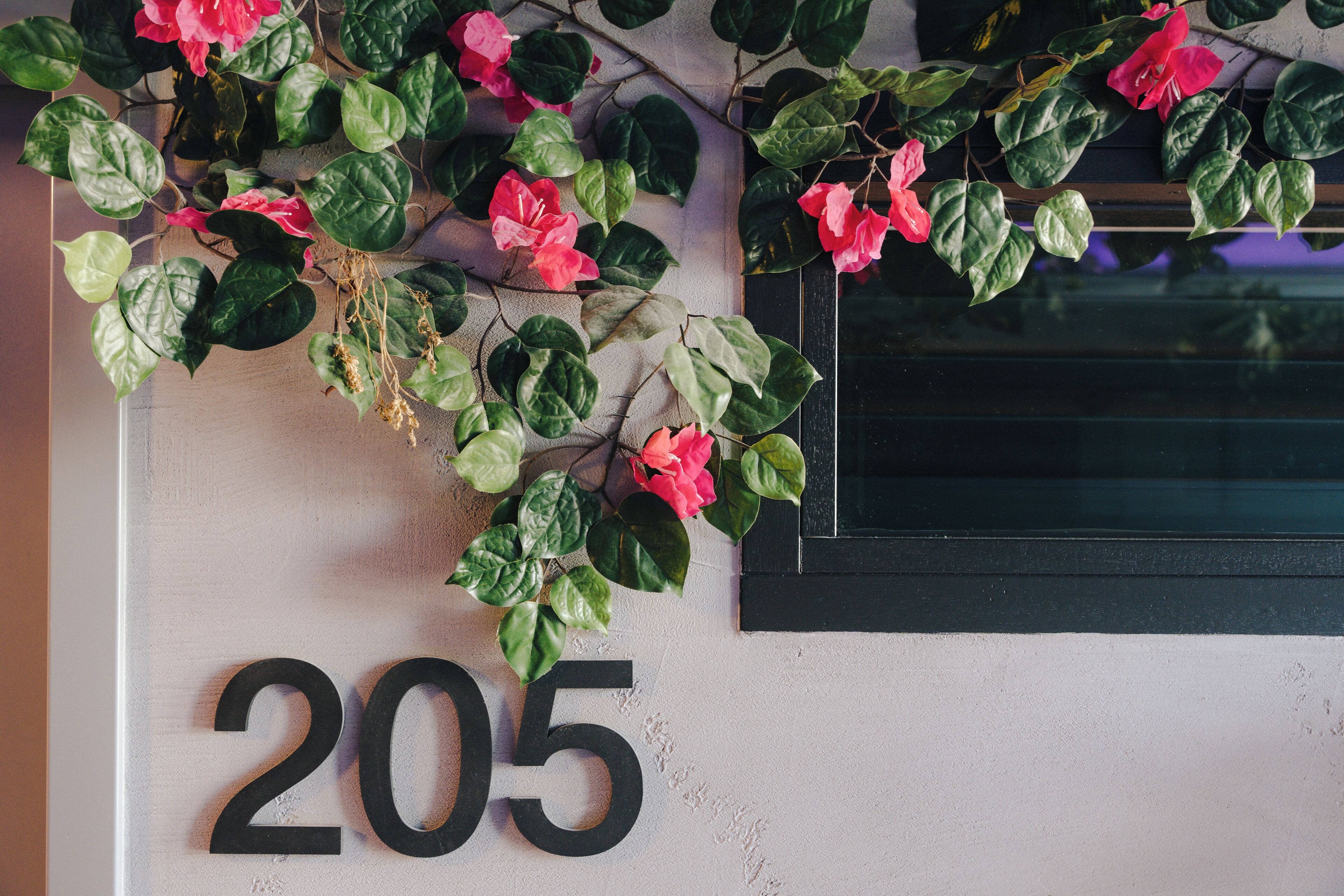 Una pared con el número 205 y una planta decorativa con hojas verdes y flores rosadas.