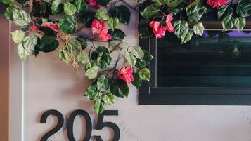 Una pared con el número 205 y una planta decorativa con hojas verdes y flores rosadas.