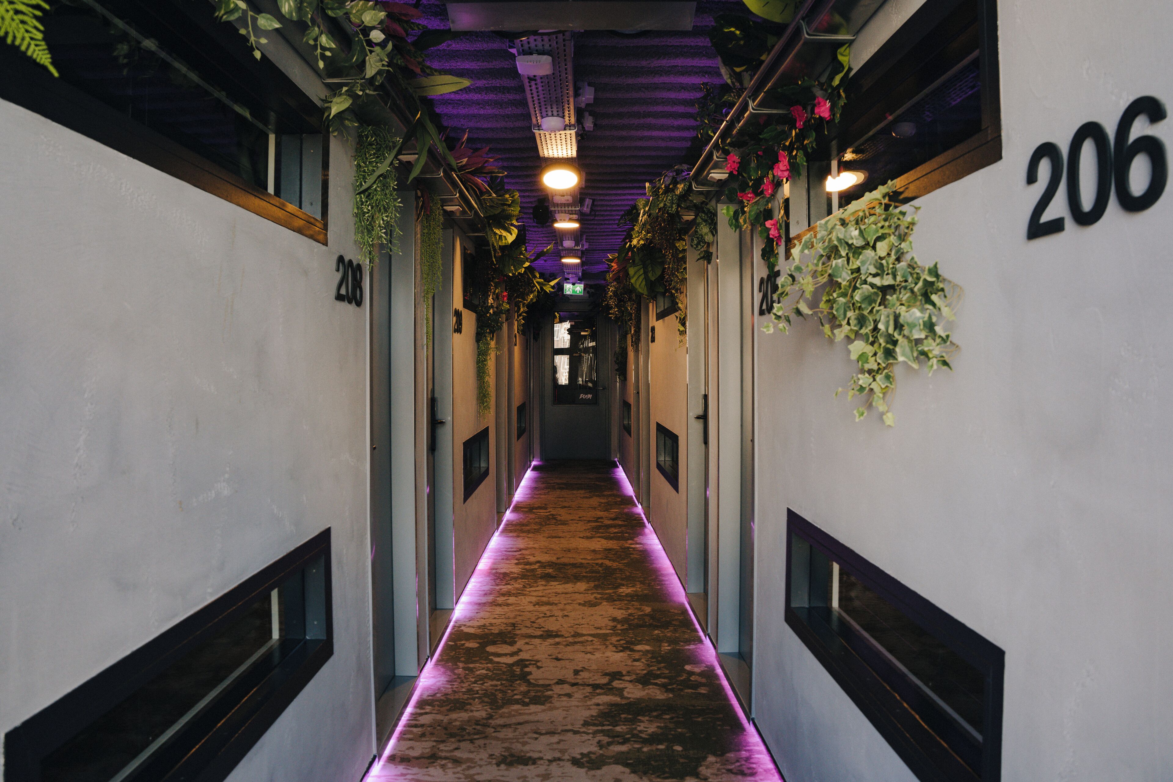 Photo - This Hostel