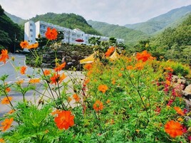 Un hotel de diseño moderno, rodeado de exuberante vegetación y montañas.