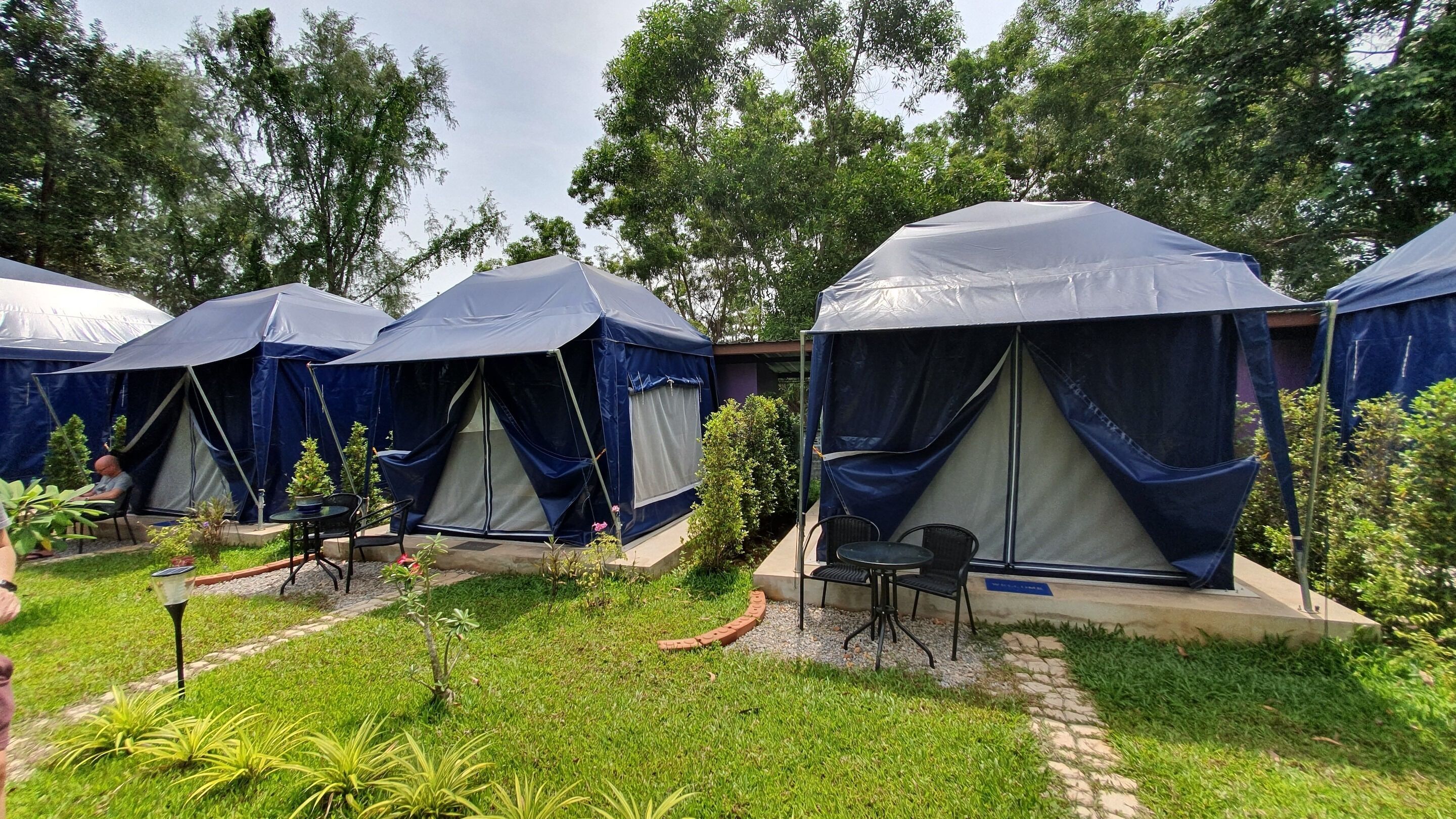 A row of blue tents with attached tables and chairs, set in a grassy area with trees in the background.