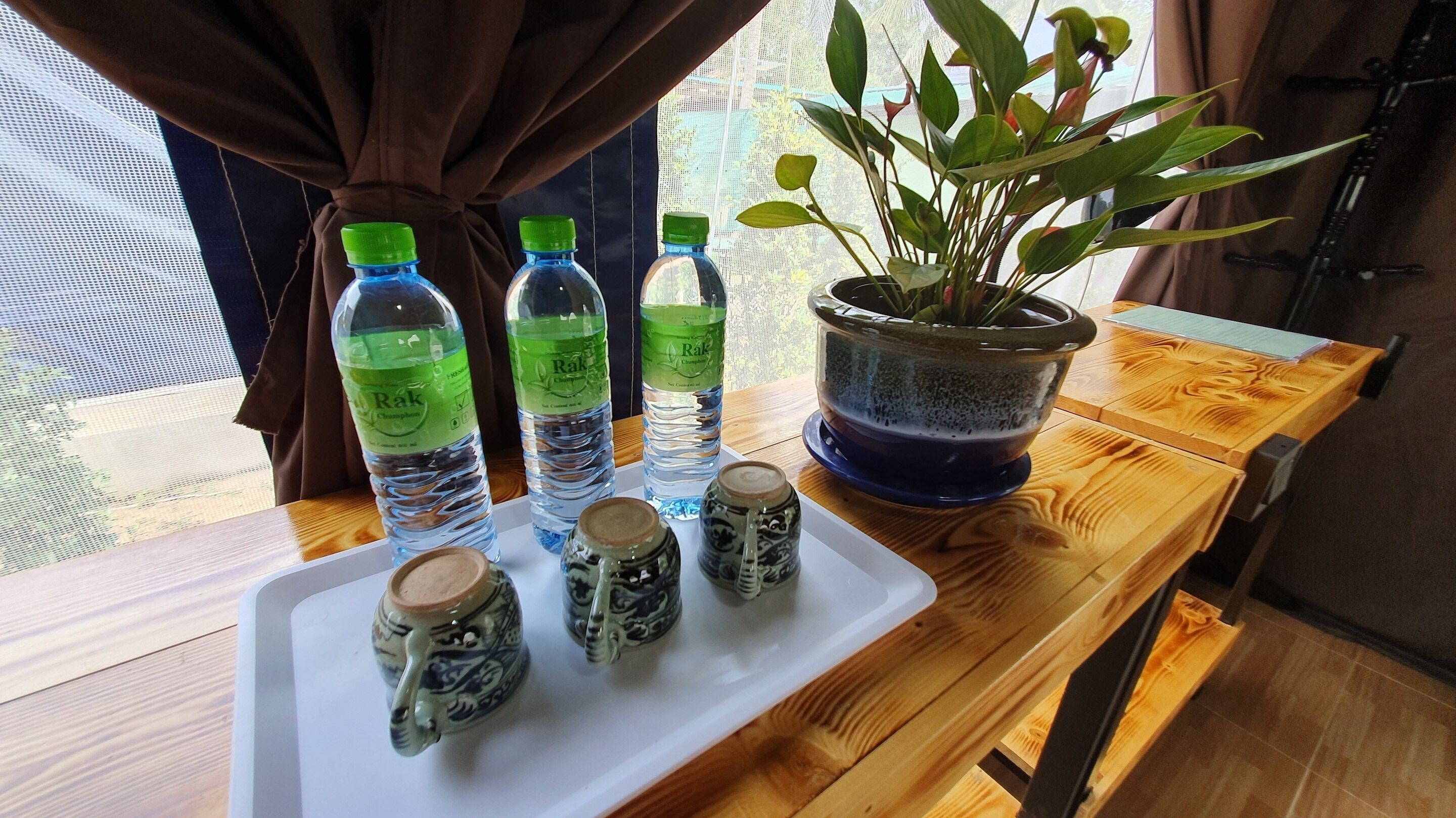 A wooden table with three water bottles, a potted plant, and three ceramic mugs.