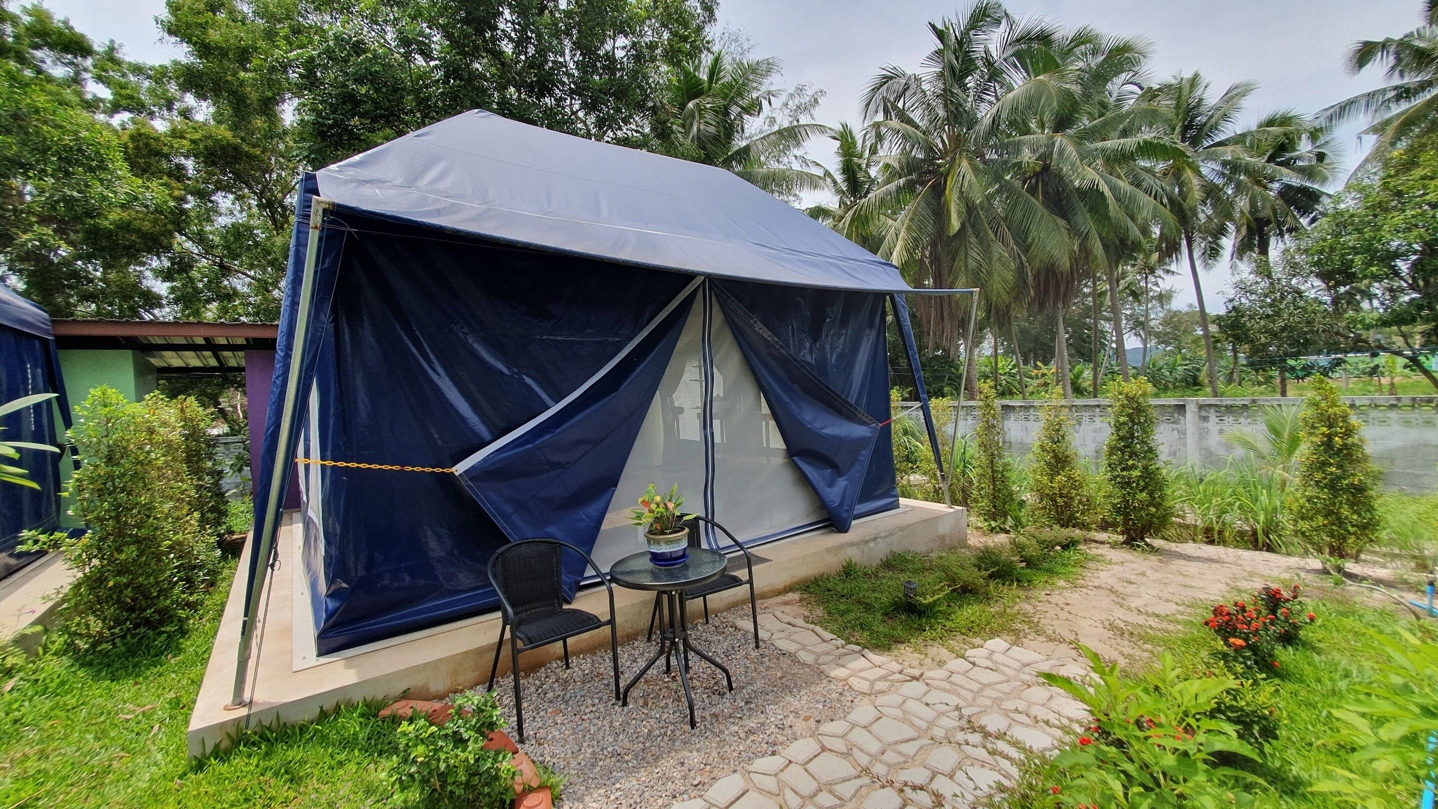 A tent with a table and chair set up in a garden area with palm trees and greenery in the background.