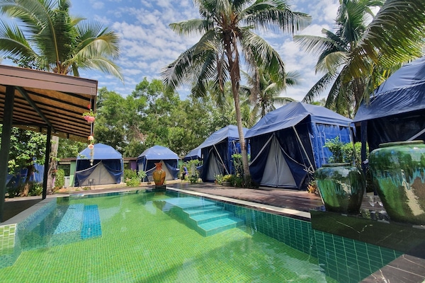 Outdoor pool, open 10:00 AM to 8:00 PM, free pool cabanas, pool loungers