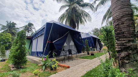 Triple Tented Room | Escritorio, wifi gratis y ropa de cama