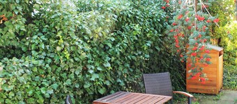 Ferienwohnung im Zentrum Weilheims