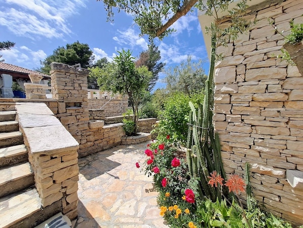 Un sendero de piedra que conduce a un jardín con flores rojas y cactus.
