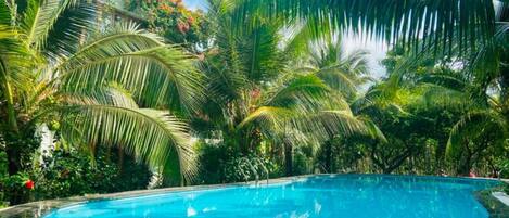 Outdoor pool, open 6:00 AM to 6:00 PM, pool loungers