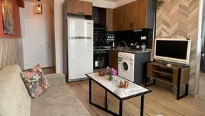 Un espace de vie compact comprenant un canapé, une table basse, un lave-linge, un téléviseur et une petite cuisine.