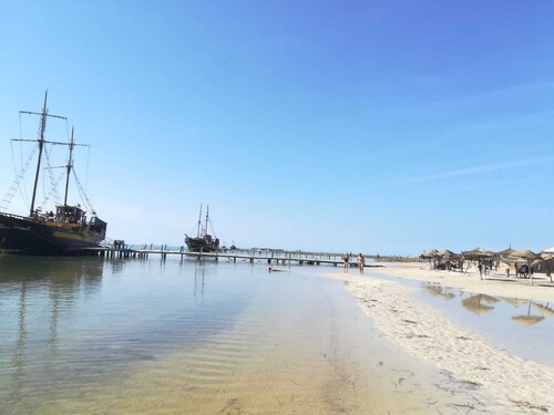 'DAR Leyla' CHARMING VILLA WITH POOL .... AT THE HEART OF THE DJERBIAN CAMPAIGN