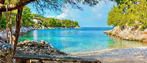 Un banco junto a una playa de guijarros con vistas despejadas al mar y un árbol sobre él.