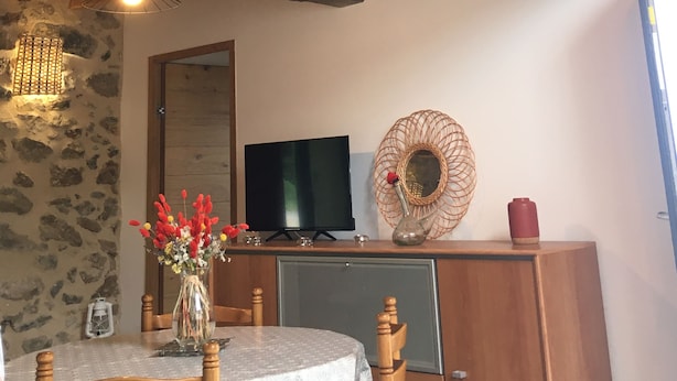 A room with a wooden ceiling, a flat-screen TV, a decorative mirror, and a vase with flowers on a table. - Charming stone house in the countryside (Céret)