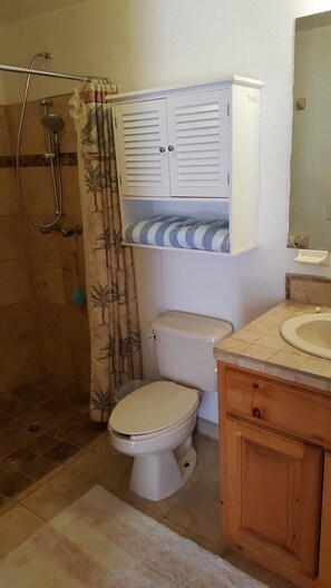 Shower, hair dryer, towels