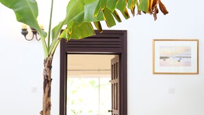 A living room with a blue sofa, a wooden coffee table, a large banana plant, and a framed picture on the wall. - Beautiful supersize villa perfect for larger families and groups. Sleeps 22 (Cap Estate)