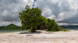Ein Strand mit einem großen Baum und einer kleinen Struktur, umgeben von Bergen und einem bewölkten Himmel.