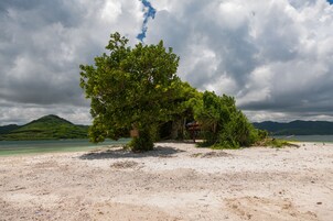 Playa privada, sombrillas, toallas de playa, snorkel